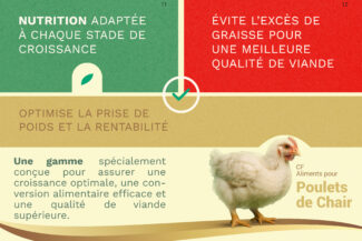 Contenu-stratégique-efficace