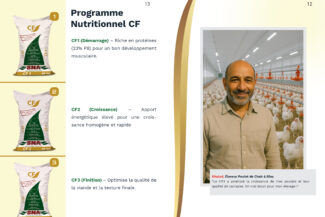 Supports visuels performants